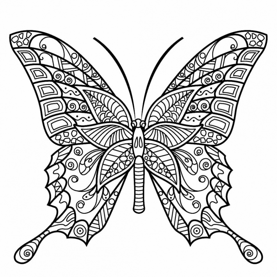 Pin by Amy Beth Fitzpatrick on Coloring Pages & Such  Butterfly