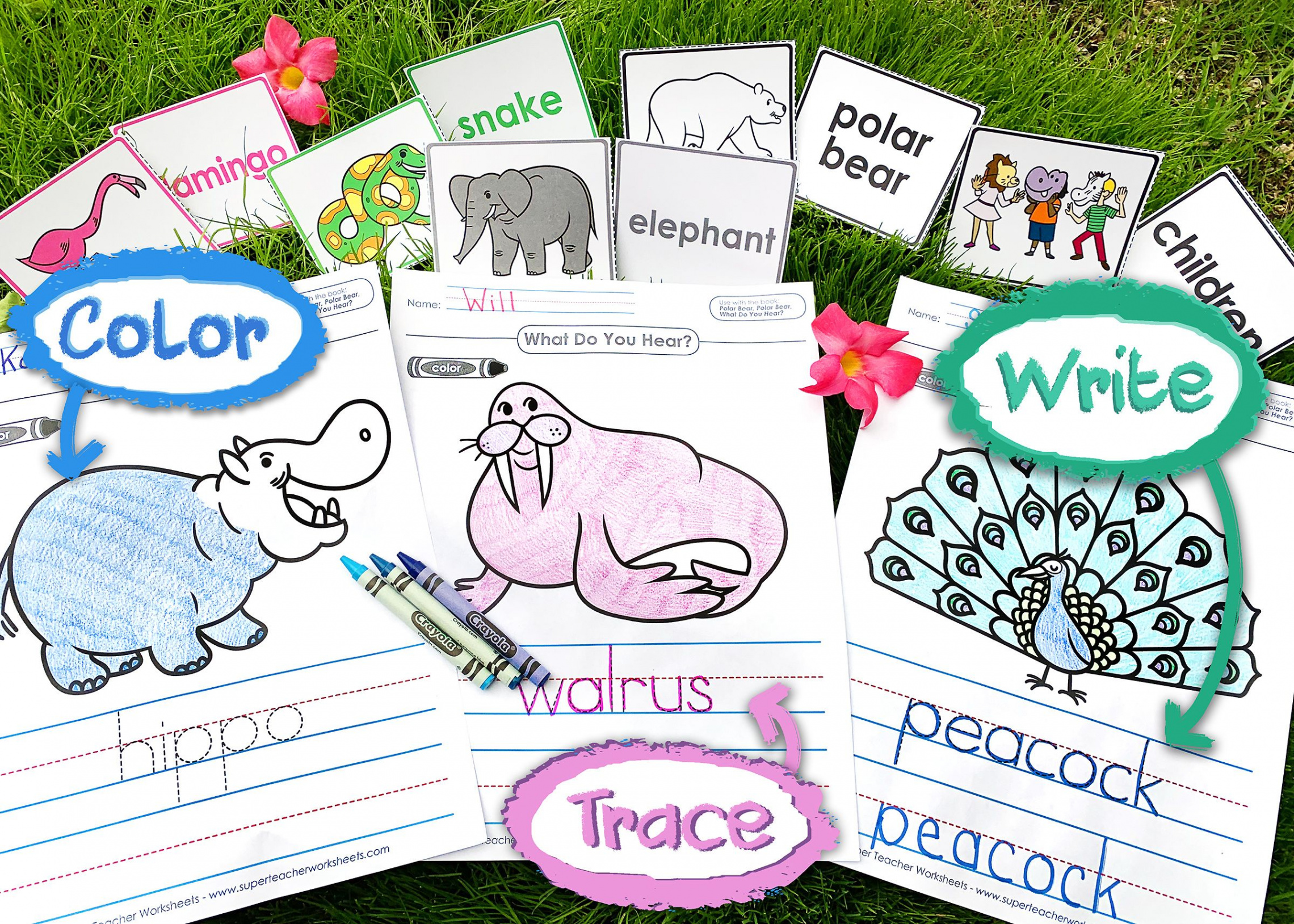 Polar Bear, Polar Bear, What Do You Hear? Printable Activities