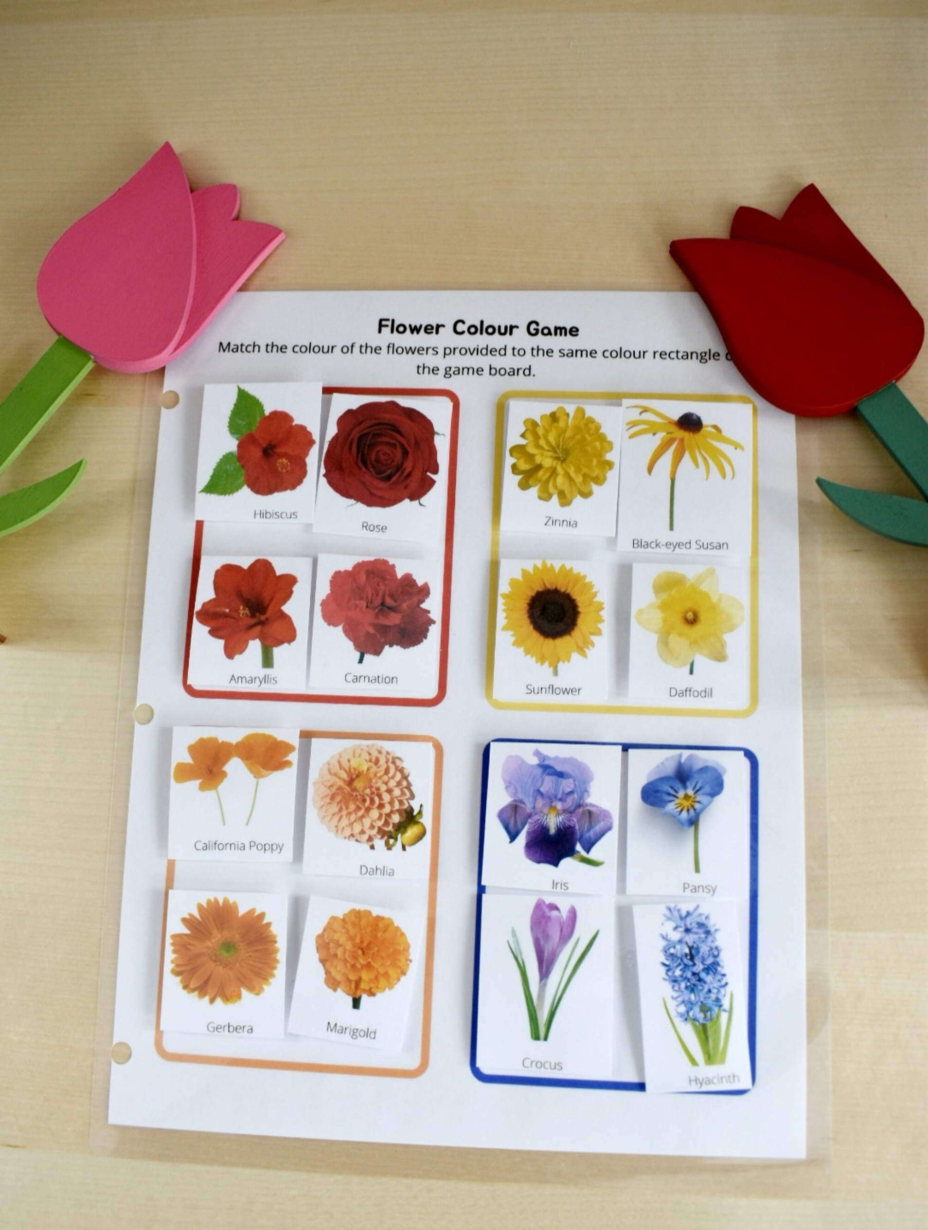 Preschool Printable Flower Colour Matching Game Montessori - Etsy