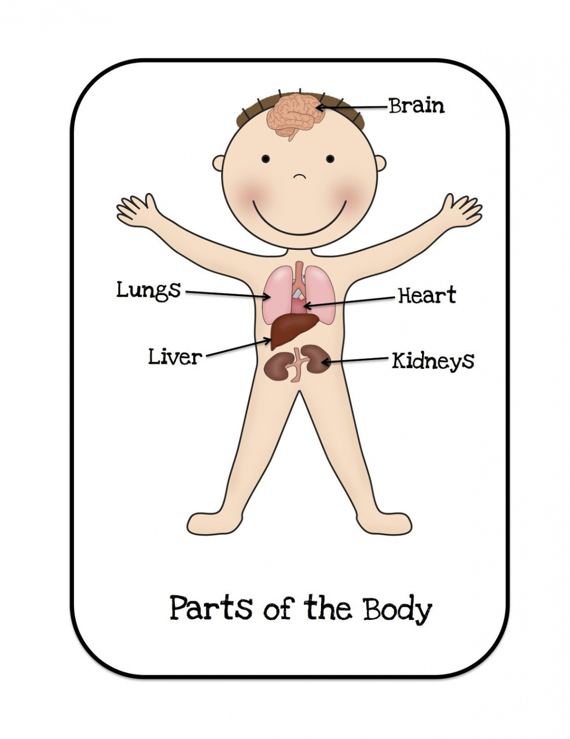 Preschool Printables  Body preschool, Preschool printables