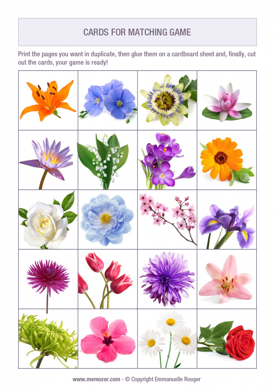 Printable matching game for seniors - Flowers - Print and cut out