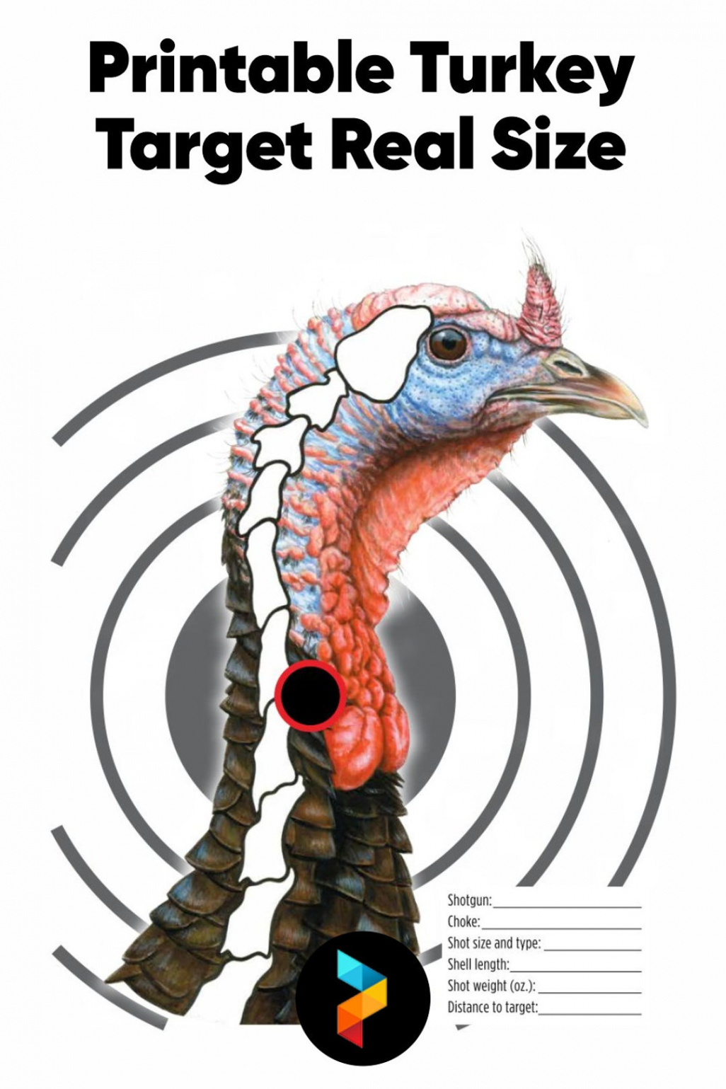 Printable Turkey Targets for Perfect Archery and Shotgun - Etsy