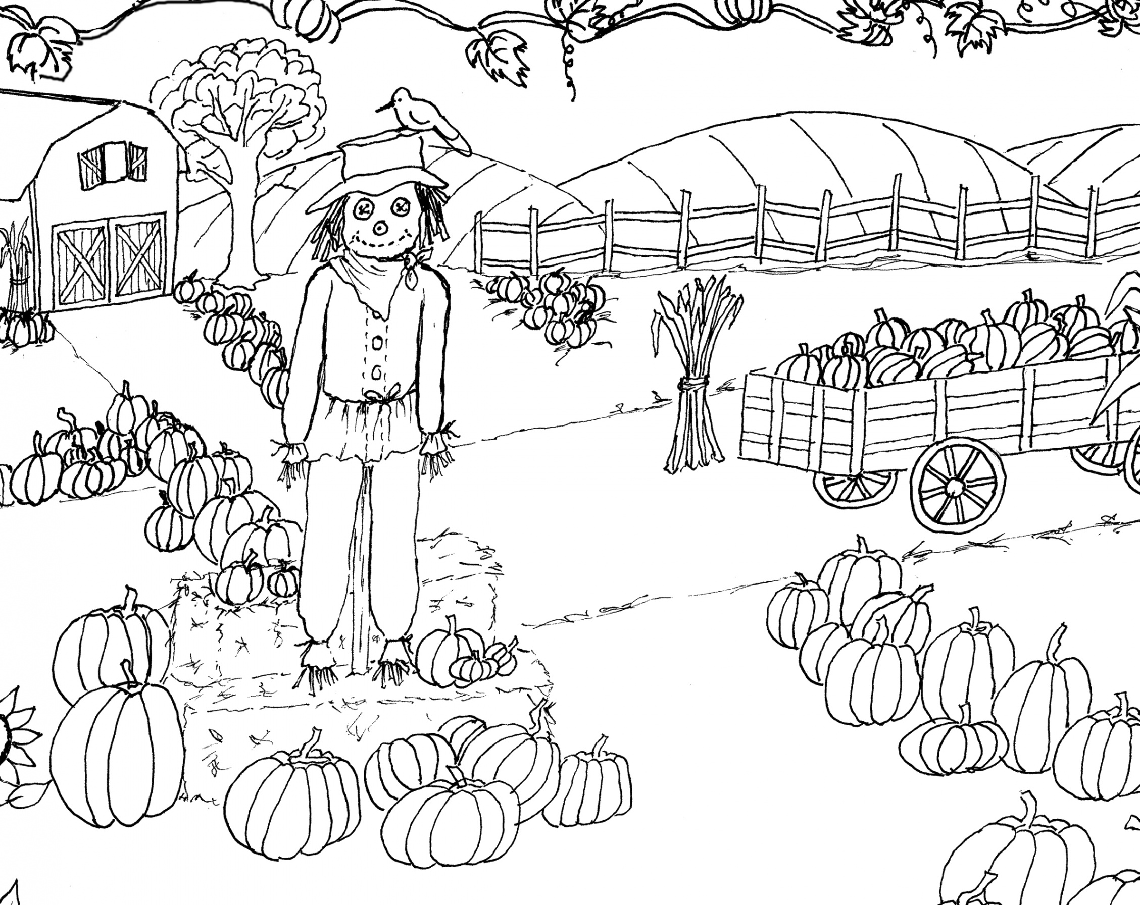 Pumpkin Patch Coloring Page Printable! - The Graphics Fairy