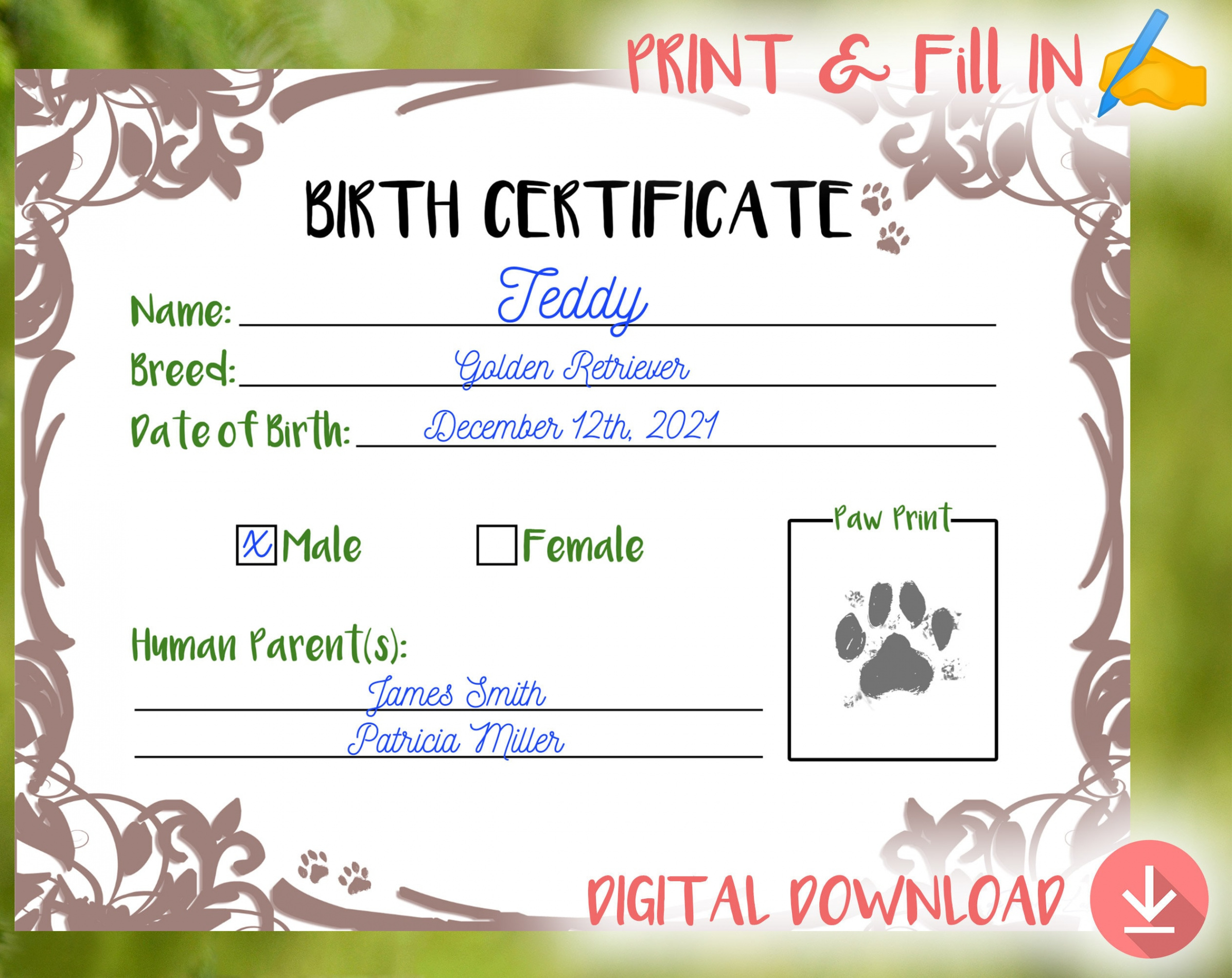 Puppy Birth Certificate printable Print and Fill In New - Etsy