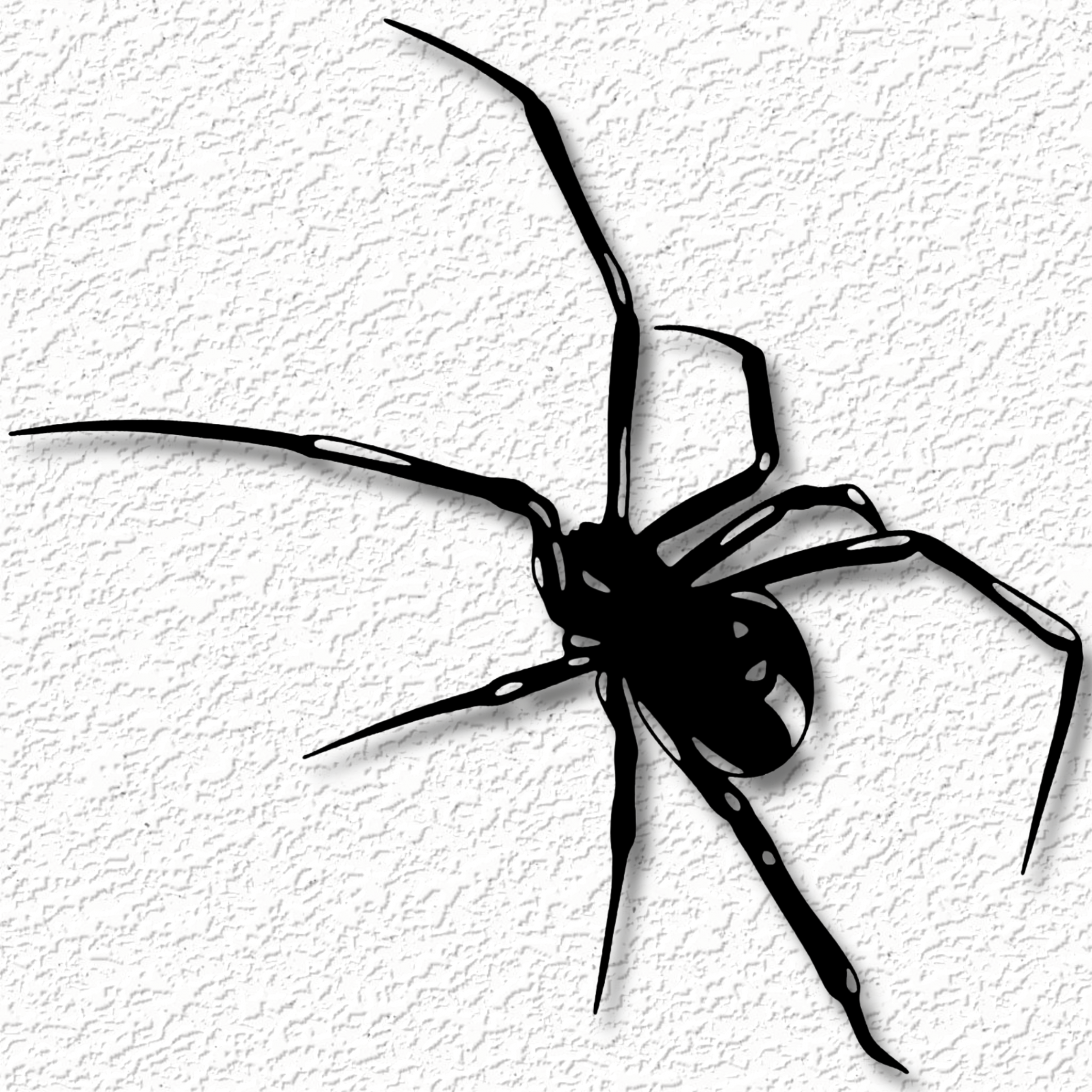 realistic black widow spider wall art spider wall decor d art