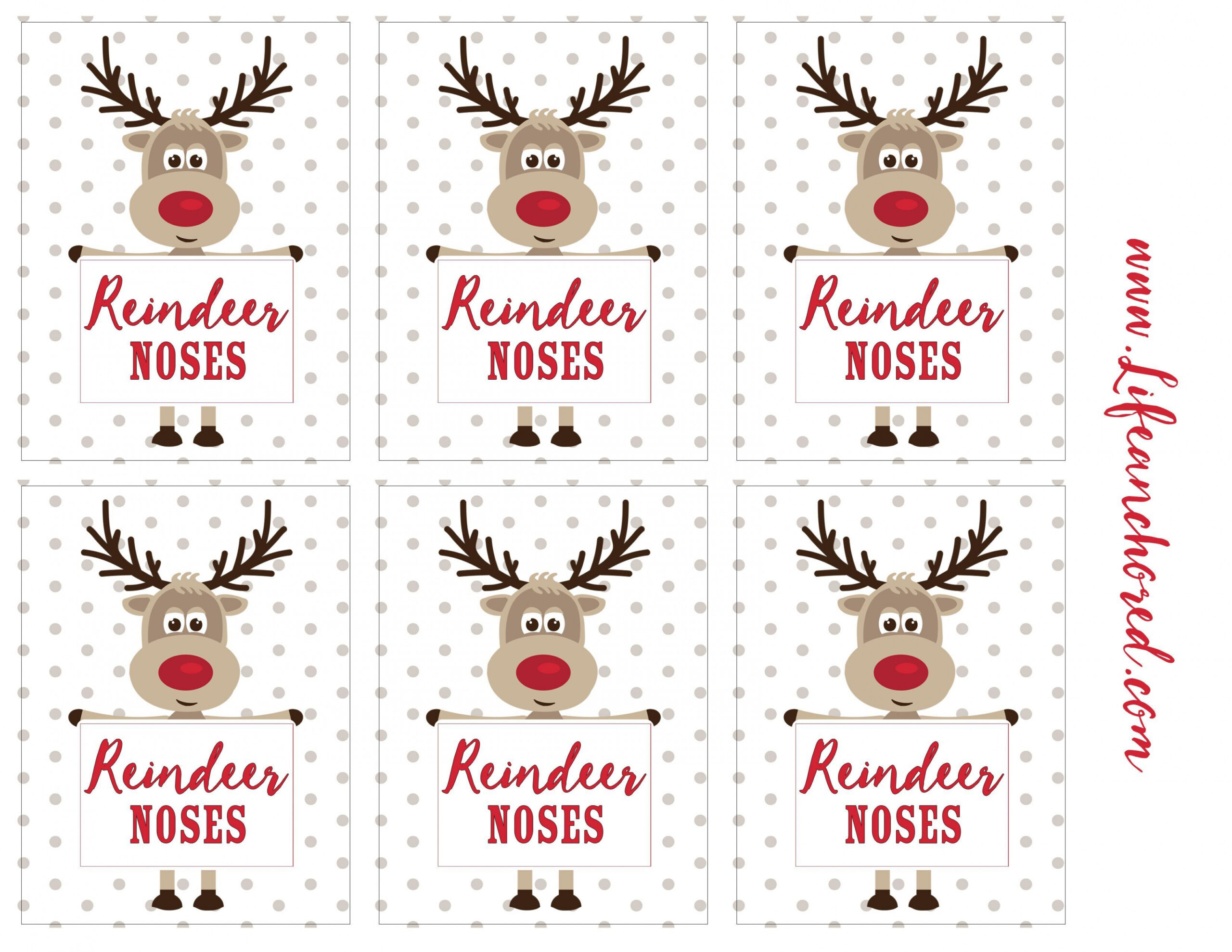 Reindeer Noses Treat - Life Anchored  Reindeer noses, Christmas