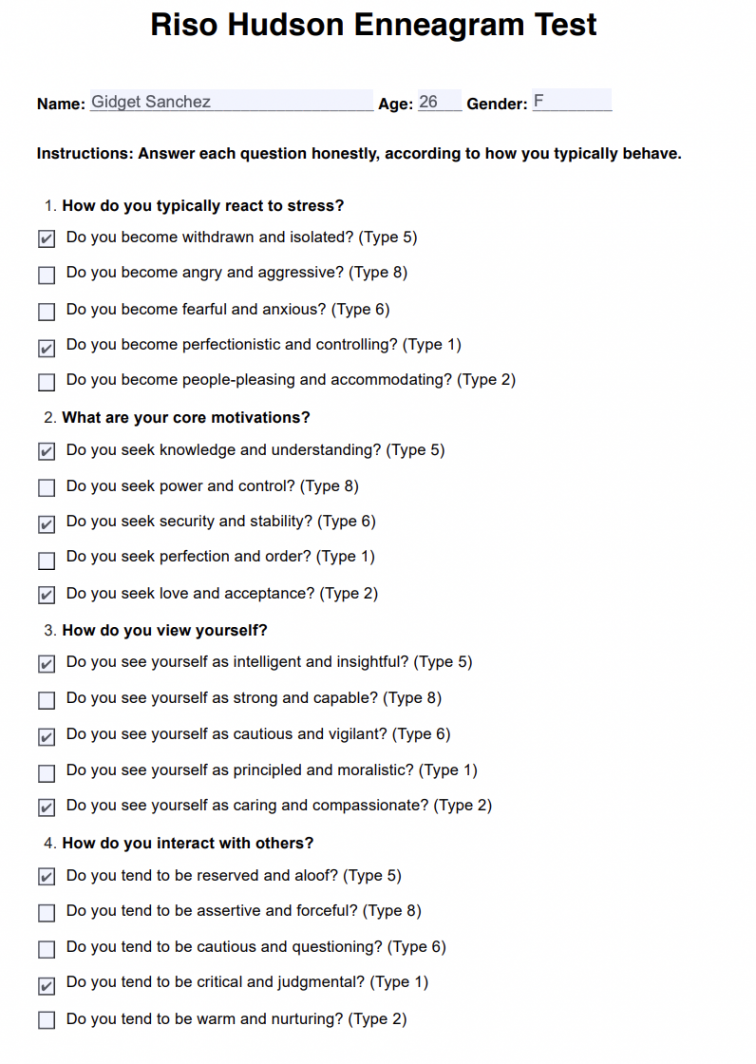 Riso Hudson Enneagram Test & Example  Free PDF Download