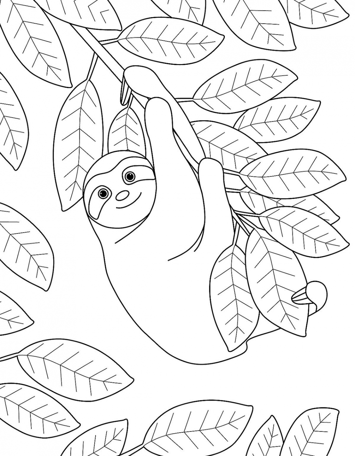 Sloth Coloring Pages: Free Printable Coloring Pages of Sloths to