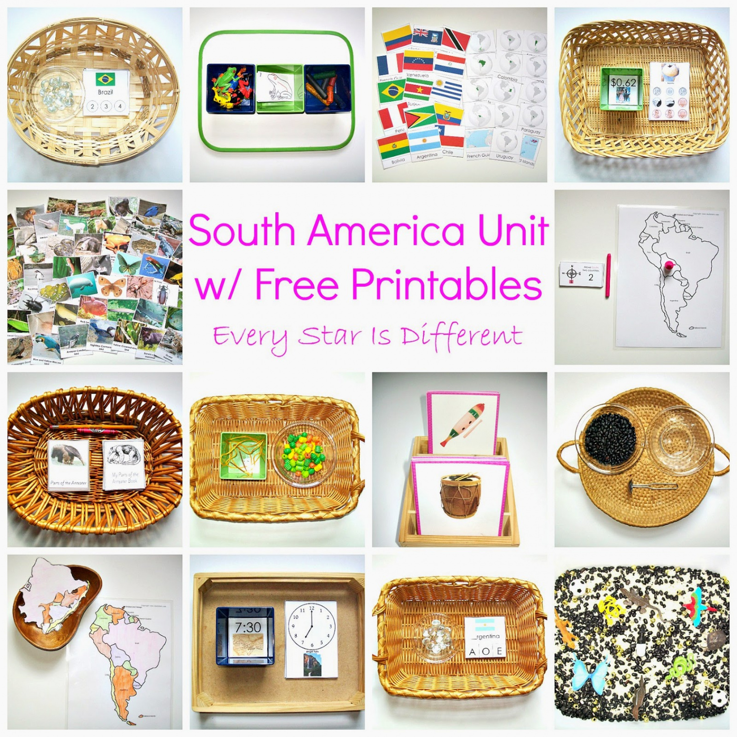 South America Unit w/ Free Printables - Every Star Is Different