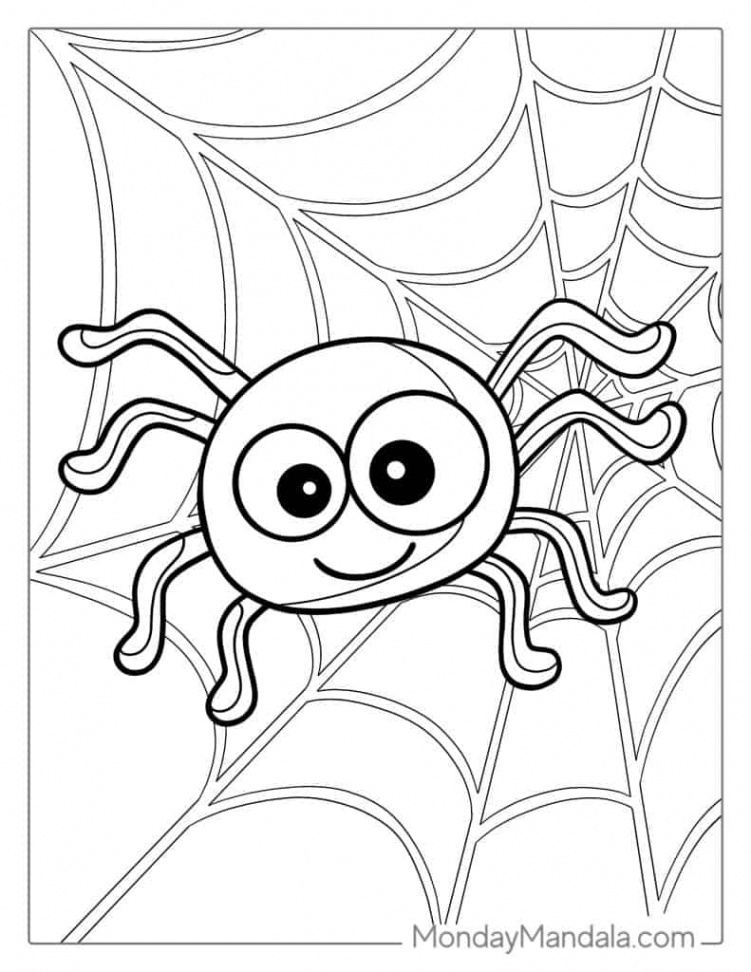 Spider Coloring Pages (Free PDF Printables)