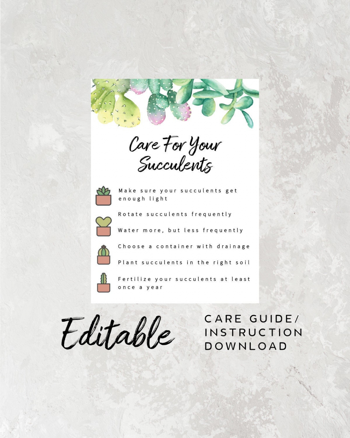 Succulent Care Guide Insert Printable Care Guide Plants - Etsy Denmark