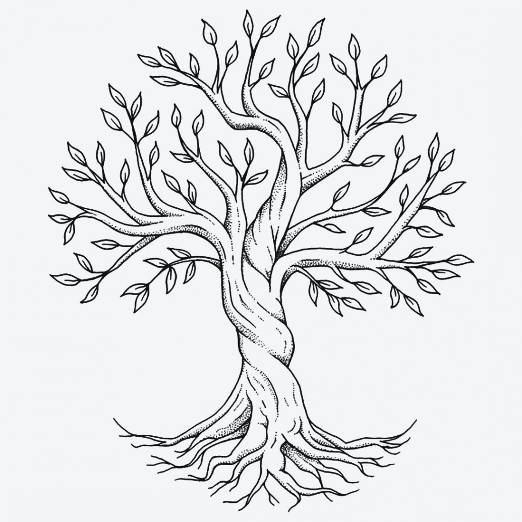 Tree Of Life Template Free Printable - Shop on Pinterest