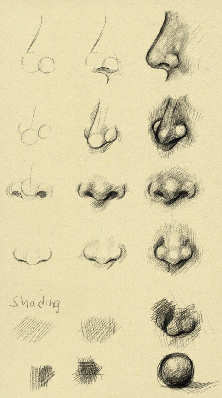 Amazing Nose Drawing Tutorials & Ideas - Brighter Craft  Nose