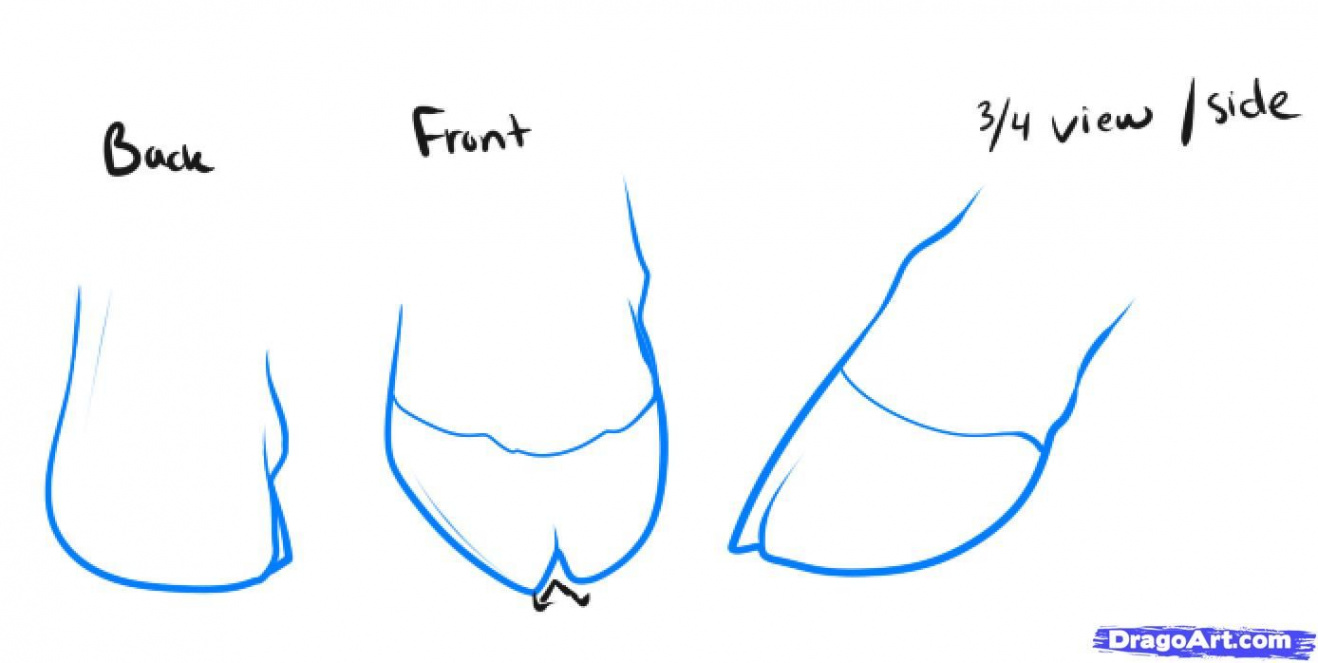 anatomy of sheep feet