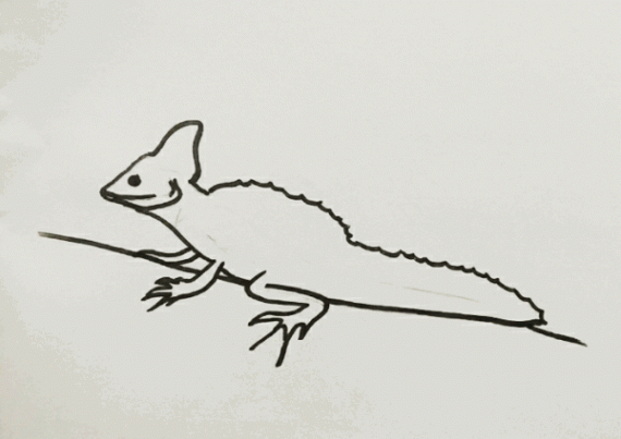 Animal drawing - Lizard — Steemit