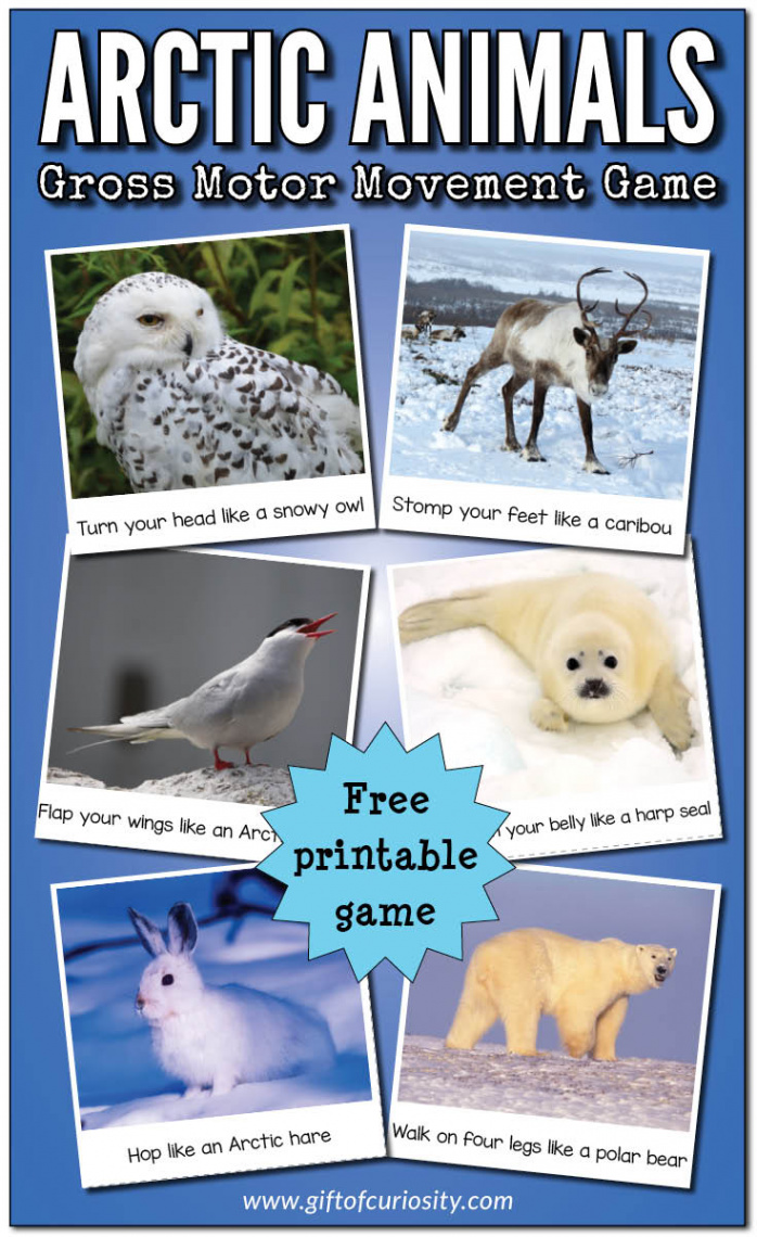 Arctic Animals gross motor movement game free printable - Gift