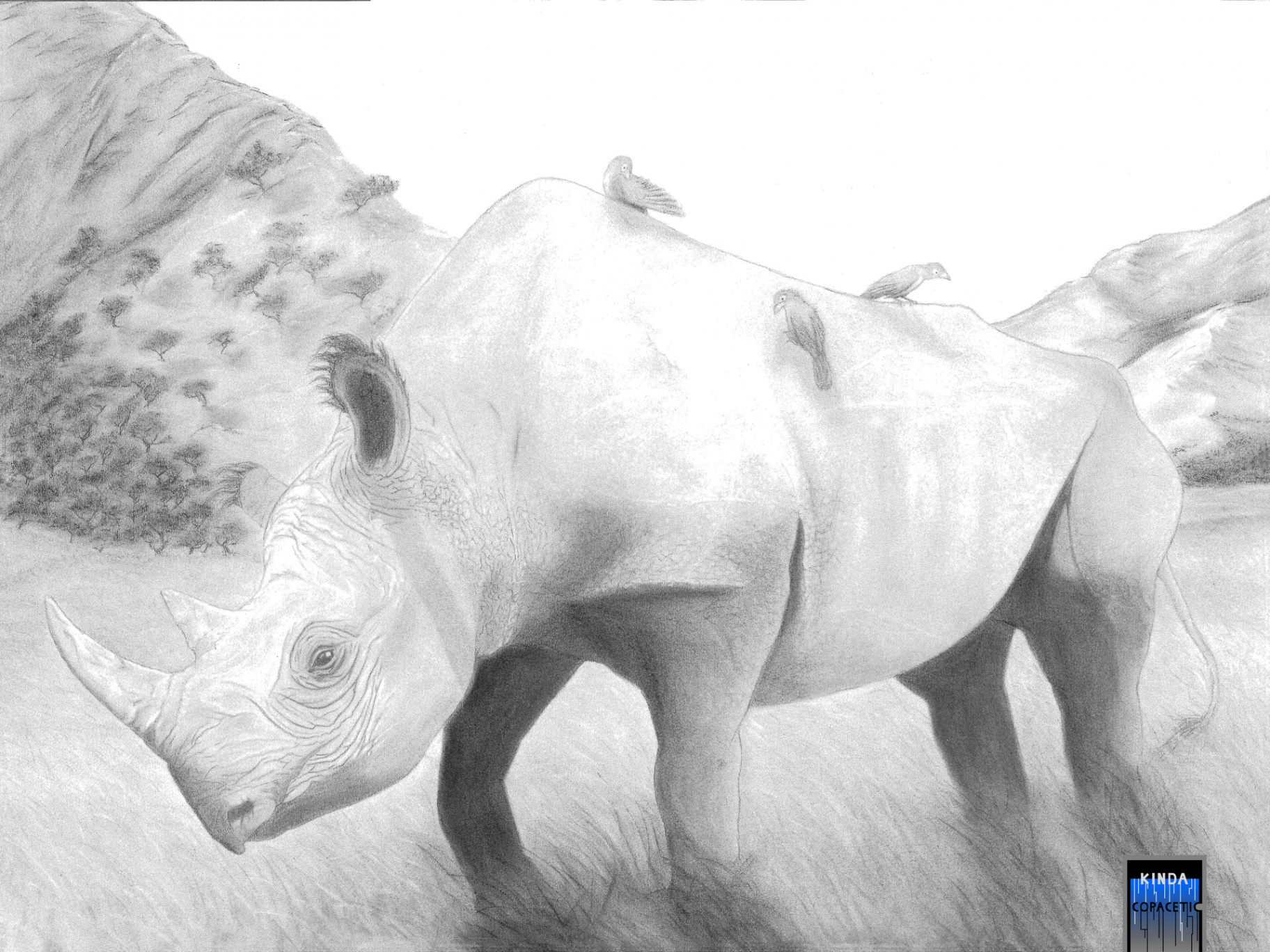 ArtStation - Western Black Rhino (Extinct)