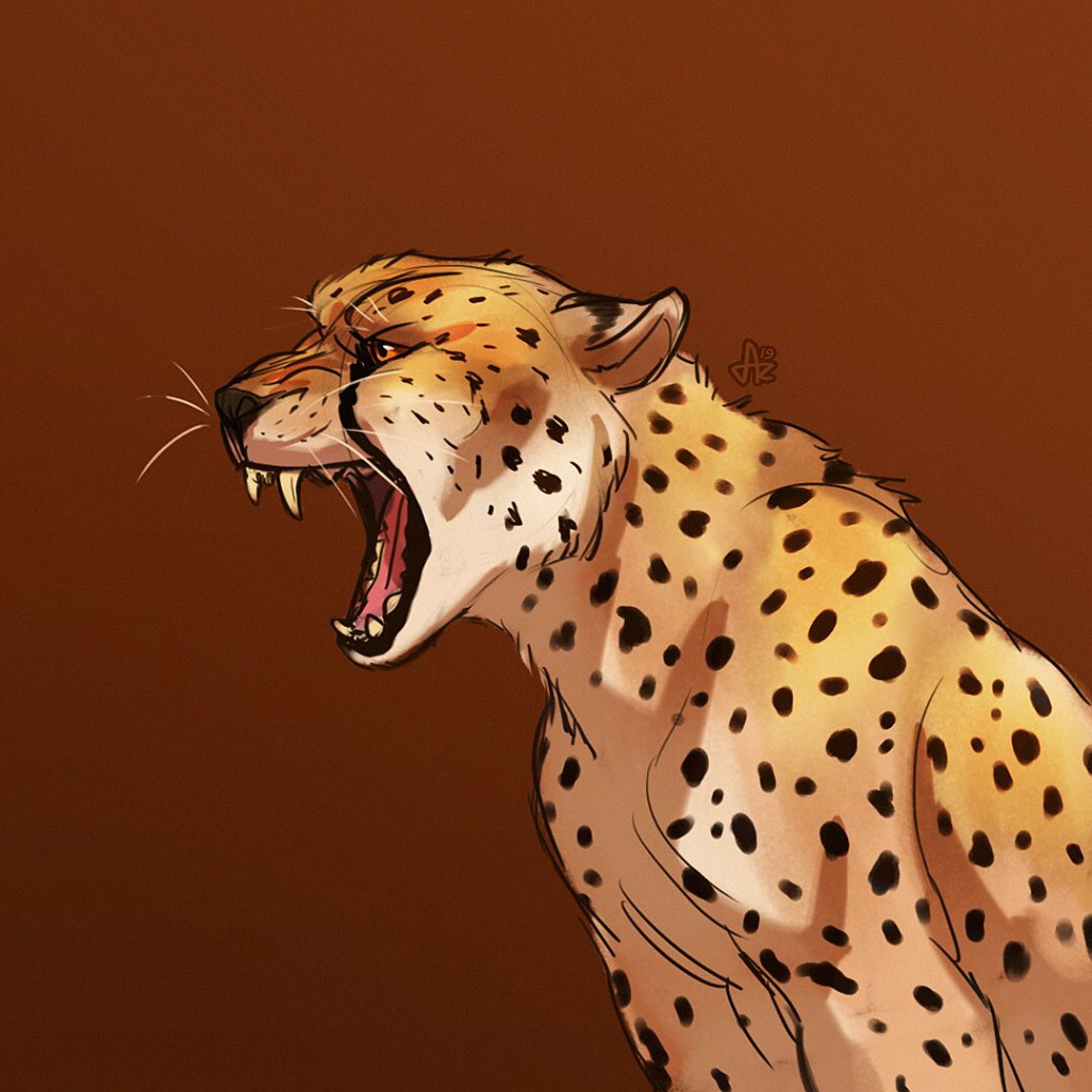 Azeare on Instagram: “Cheetah studies! (: #art #artwork #drawing