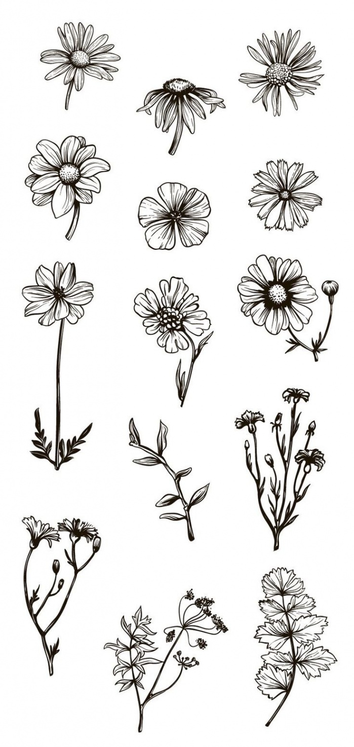 Beautiful Flower Drawing Information & Ideas - Brighter Craft