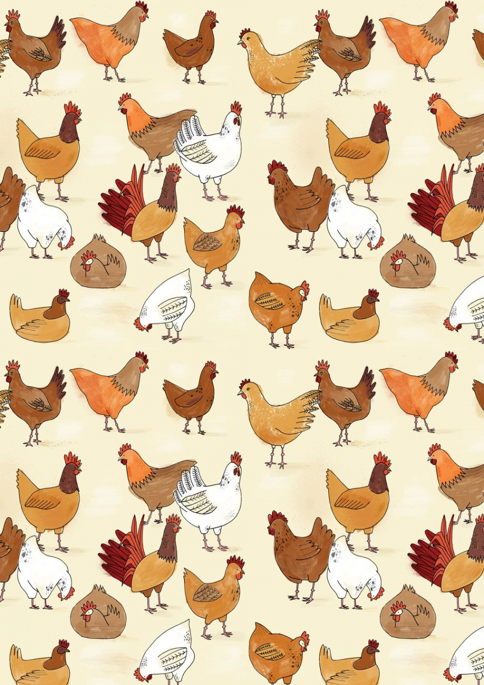 Best Chicken wallpaper ideas  chicken art, chicken wallpaper