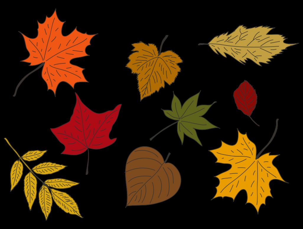 Best Fall Leaves Printables PDF for Free at Printablee  Leaf