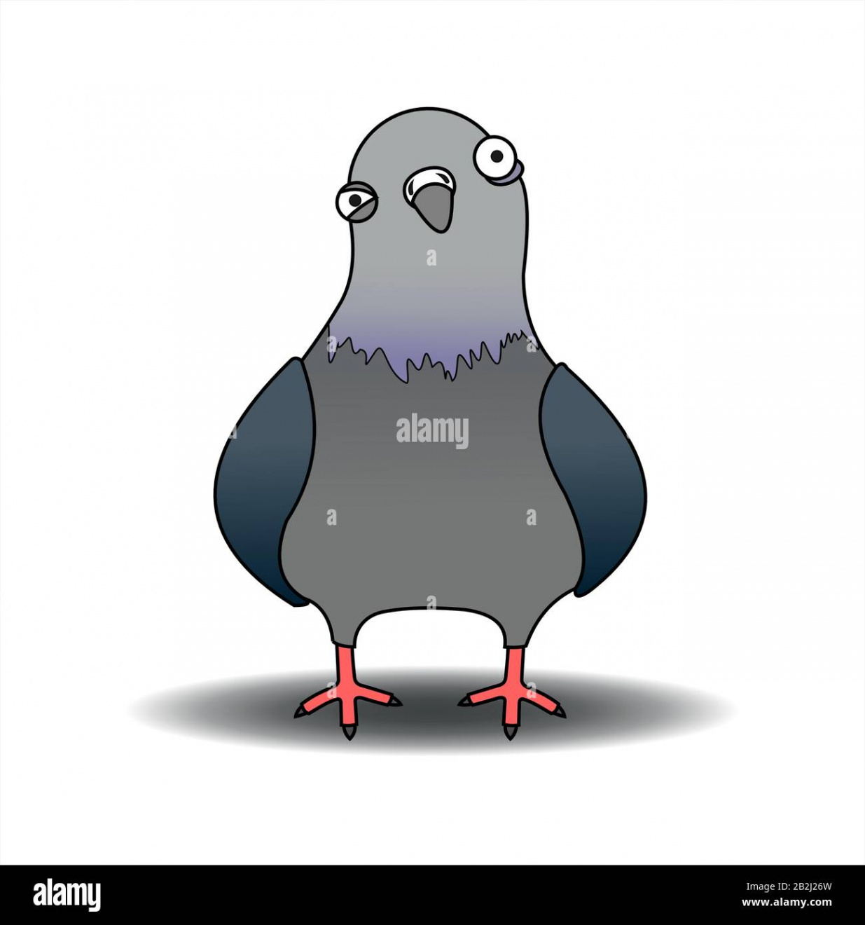 Bird cartoon funny hi-res stock photography and images - Alamy