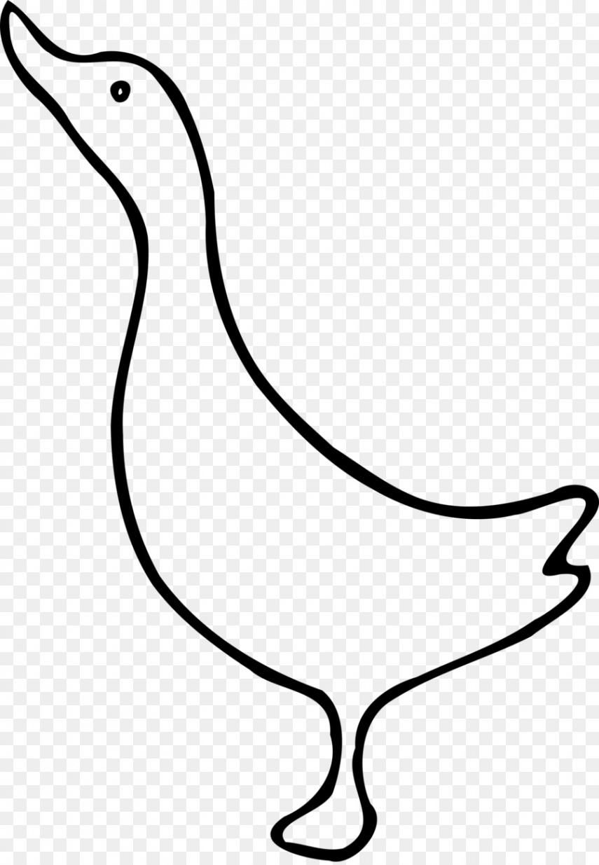 Bird Line Drawing png download -  - Free Transparent Duck