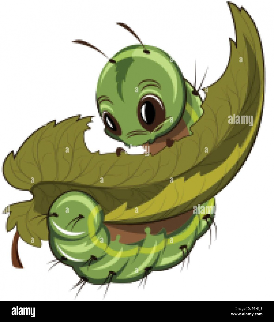 Caterpillar eating a leaf Vector