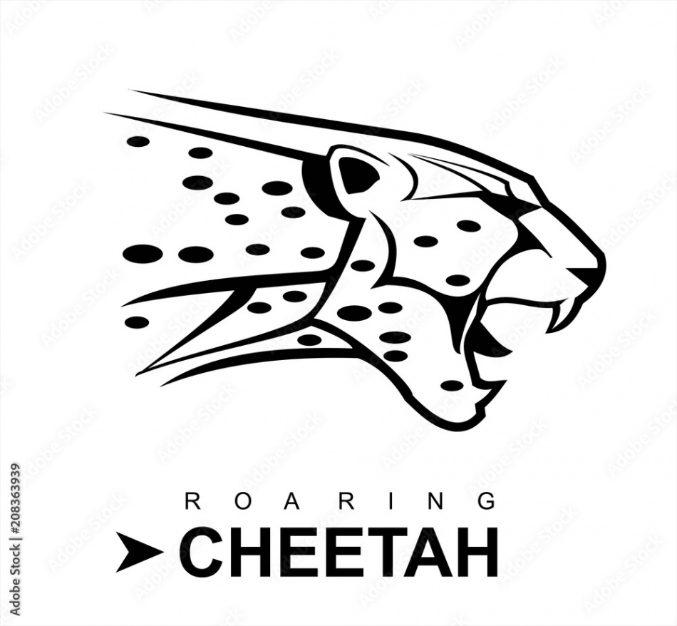 cheetah, roaring cheetah