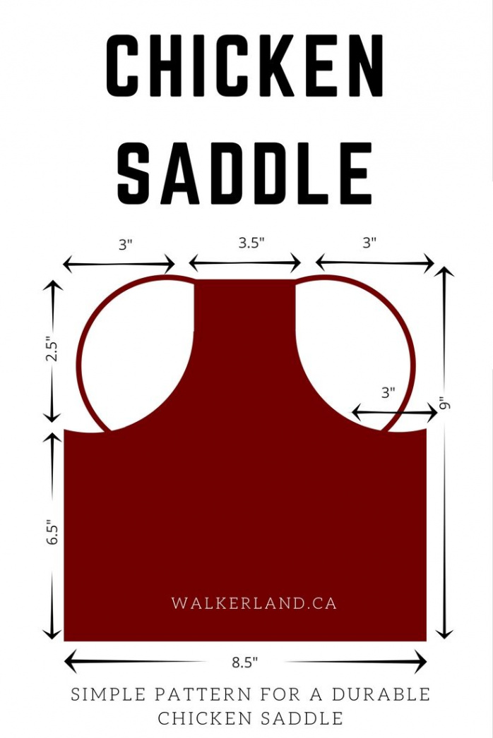 Chicken Saddle Pattern: What, Why & How to Use Saddles  Chicken