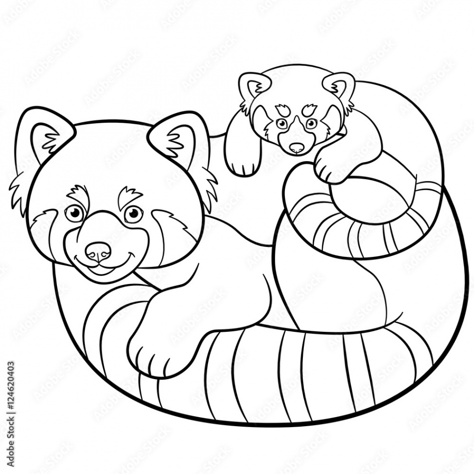 Coloring pages. Mother red panda with her baby