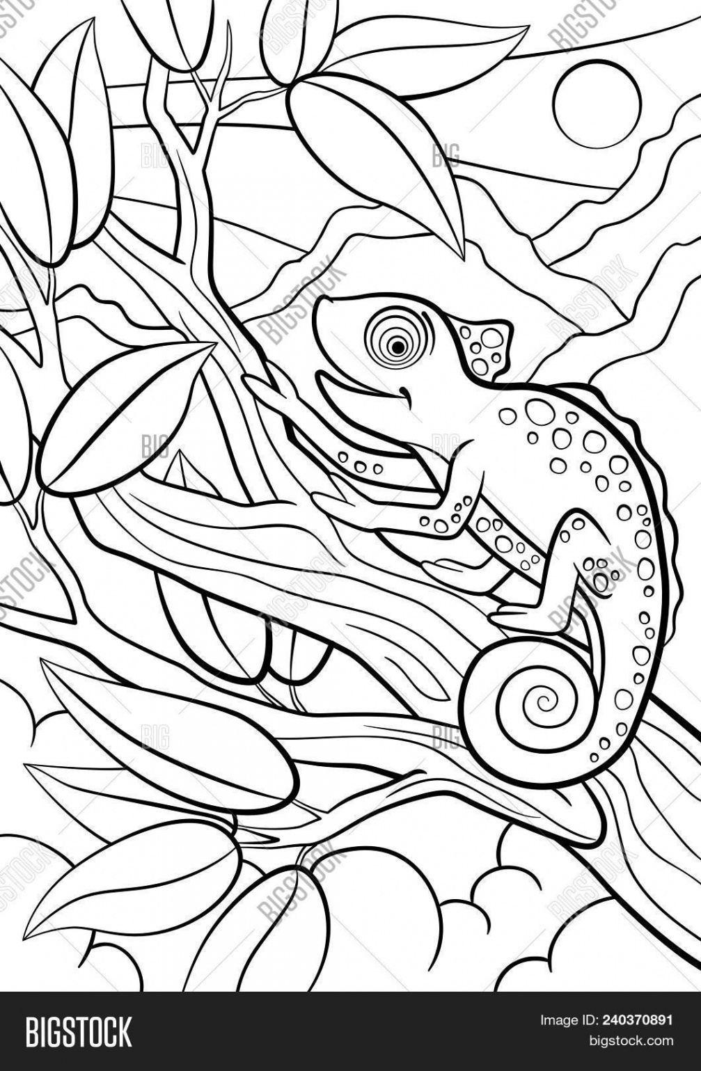 Coloring Pages