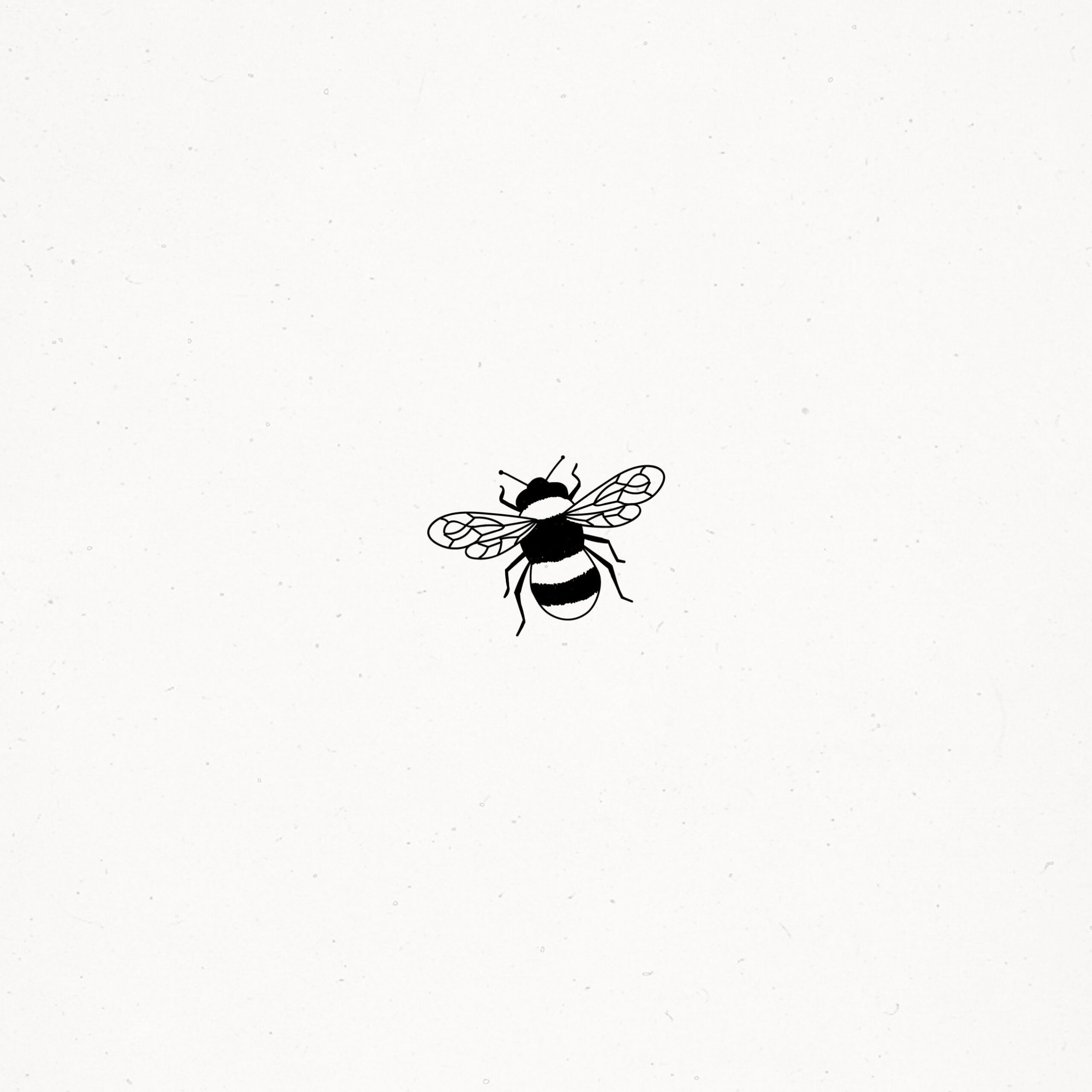 Cute Bee Illustration Doodle Drawing Insect Nature Living Life