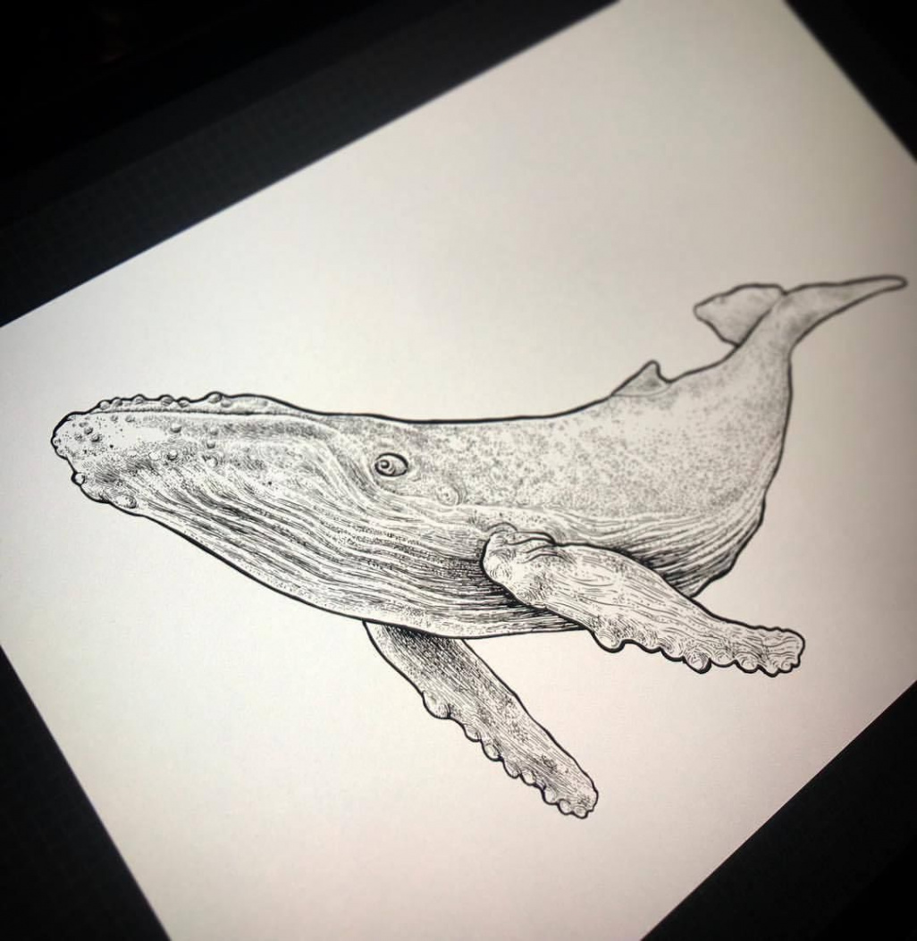 DARK SIDE OF ZEN  Whale drawing, Zen artwork, Sketch book