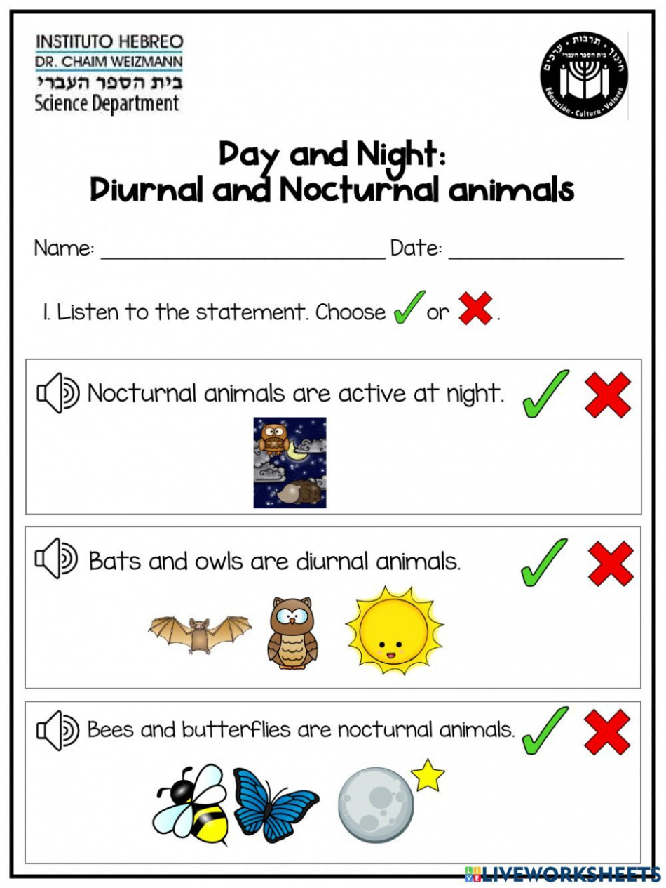 Day and Night: Diurnal and Nocturnal animals worksheet  Animal