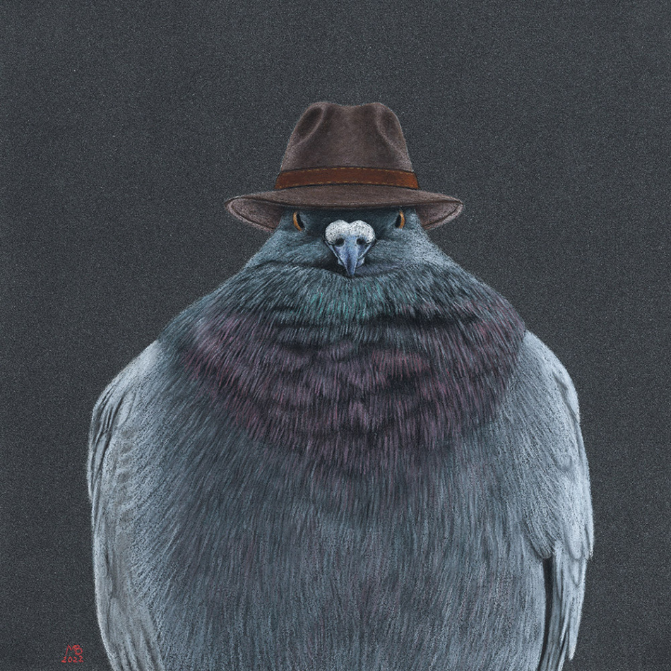 Don Pigeon / birds in hats : r/drawing