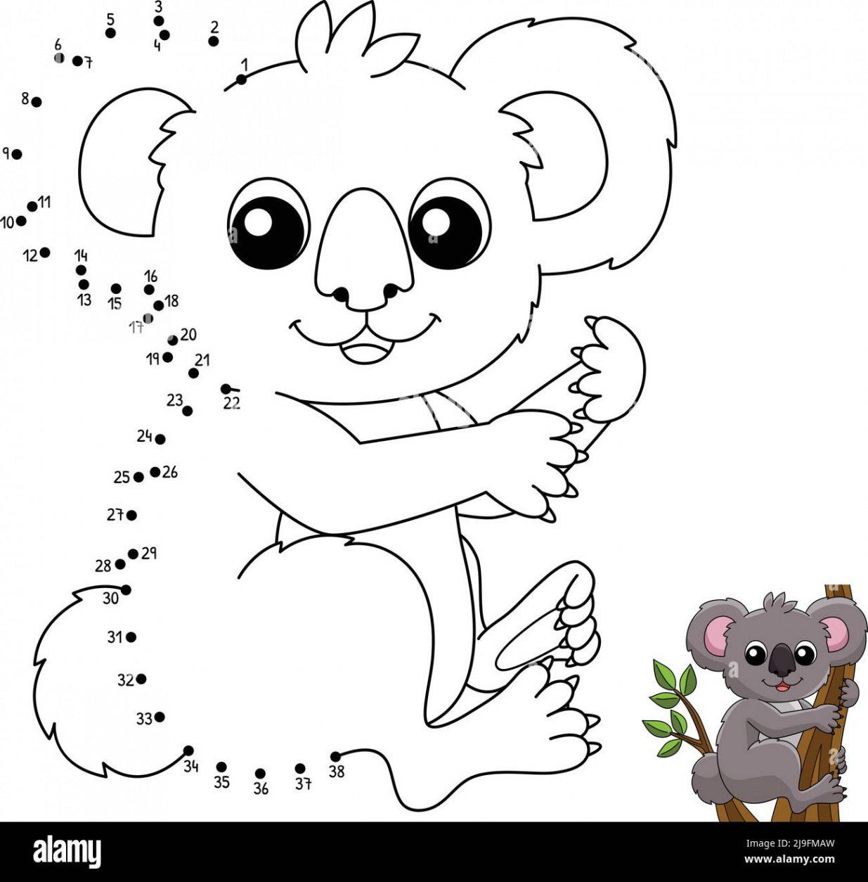 Dot to Dot Koala Animal Coloring Page for Kids Stock Vector Image