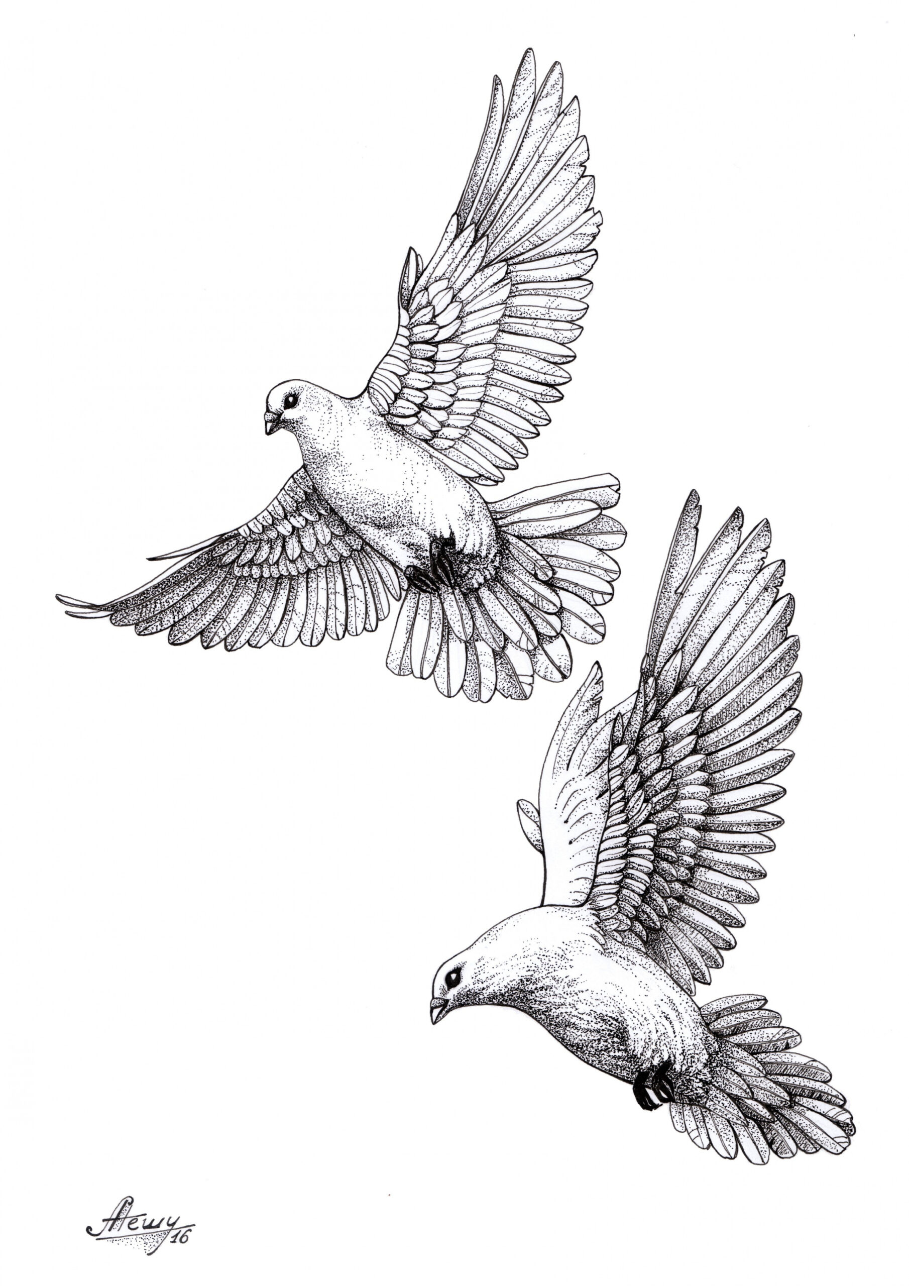 dove#pigeon#sketch  Dove tattoos, Dove tattoo design, Dove tattoo