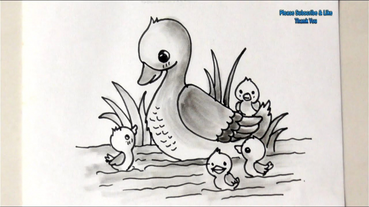 Draw a Duck and Ducklings How to Draw Ducks