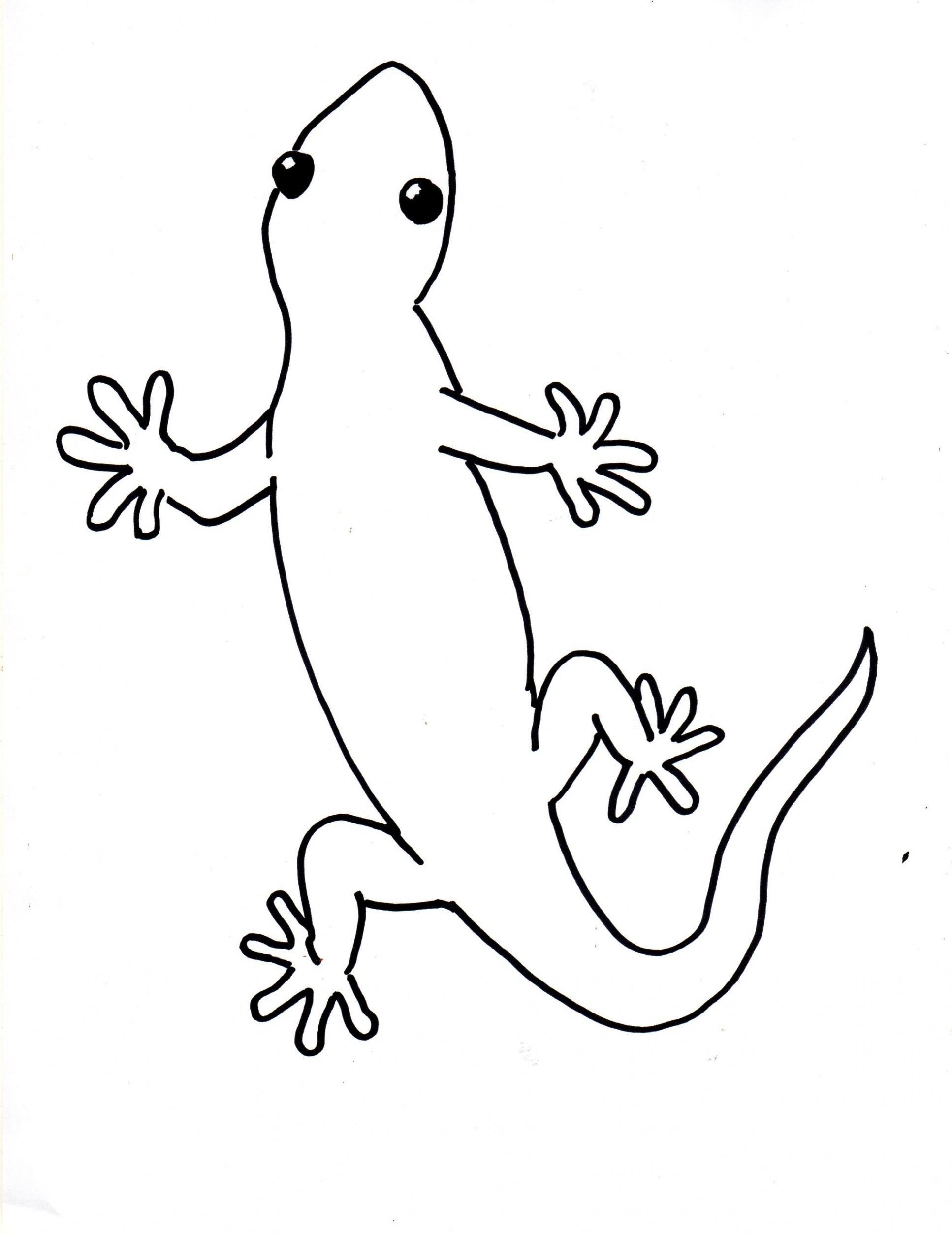 Draw a Gecko Step by Step - Art Starts