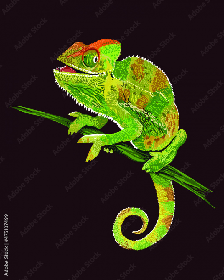 Drawing chameleon, art