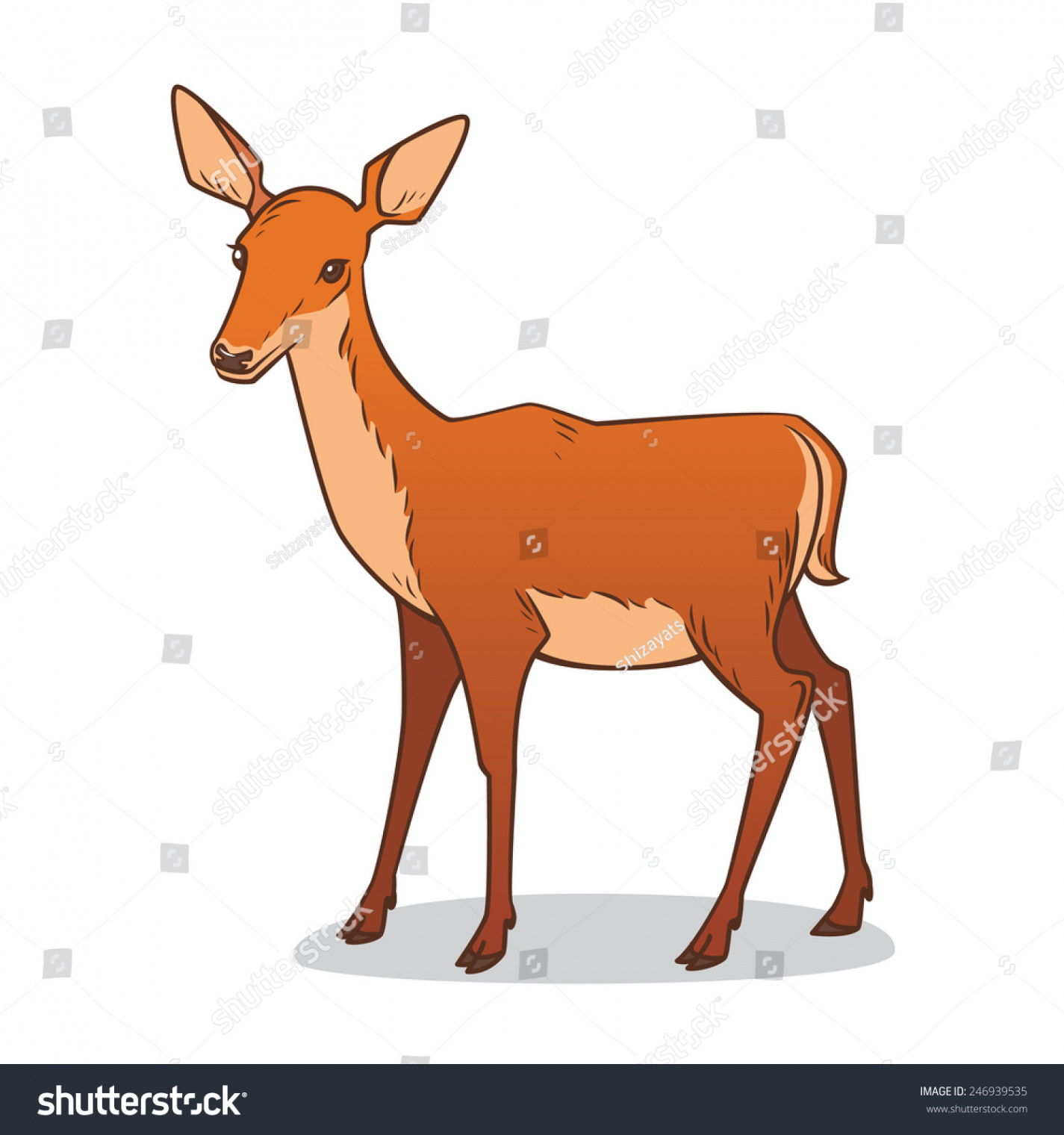 Drawing Female Deer Vector Illustration Stock Vector (Royalty Free