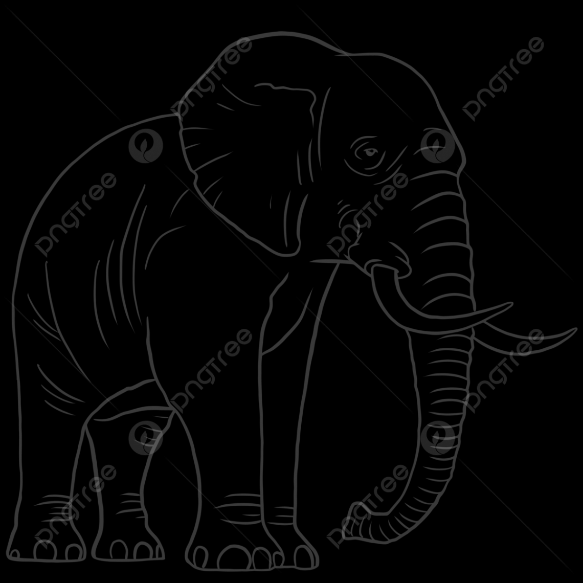 Elephant Line Art, Elephant Drawing, Ant Drawing, Elephant Sketch