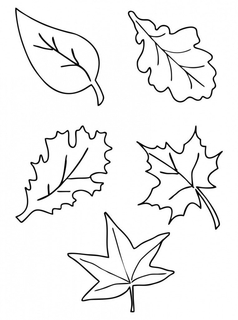 Fall Leaf Template Free Printable - Printable Templates Free