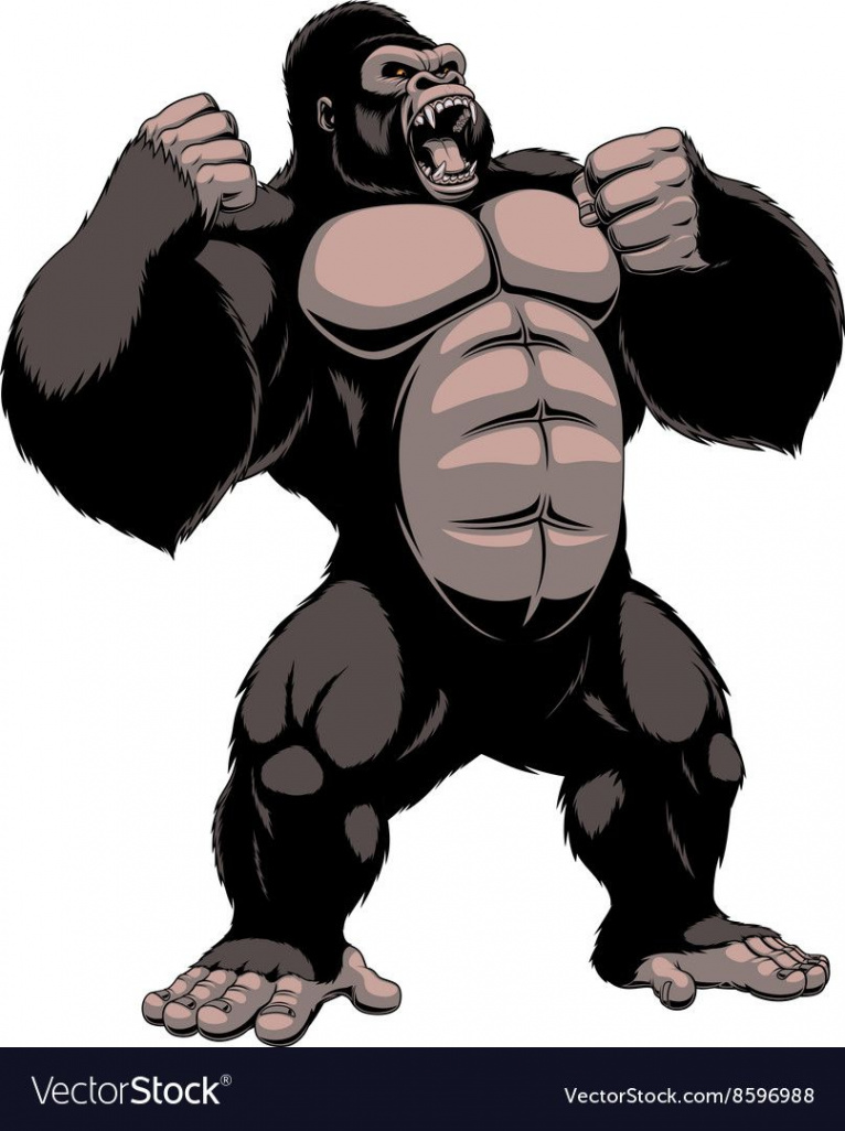 Fierce Gorilla Vector Images (over )  Gorilla illustration