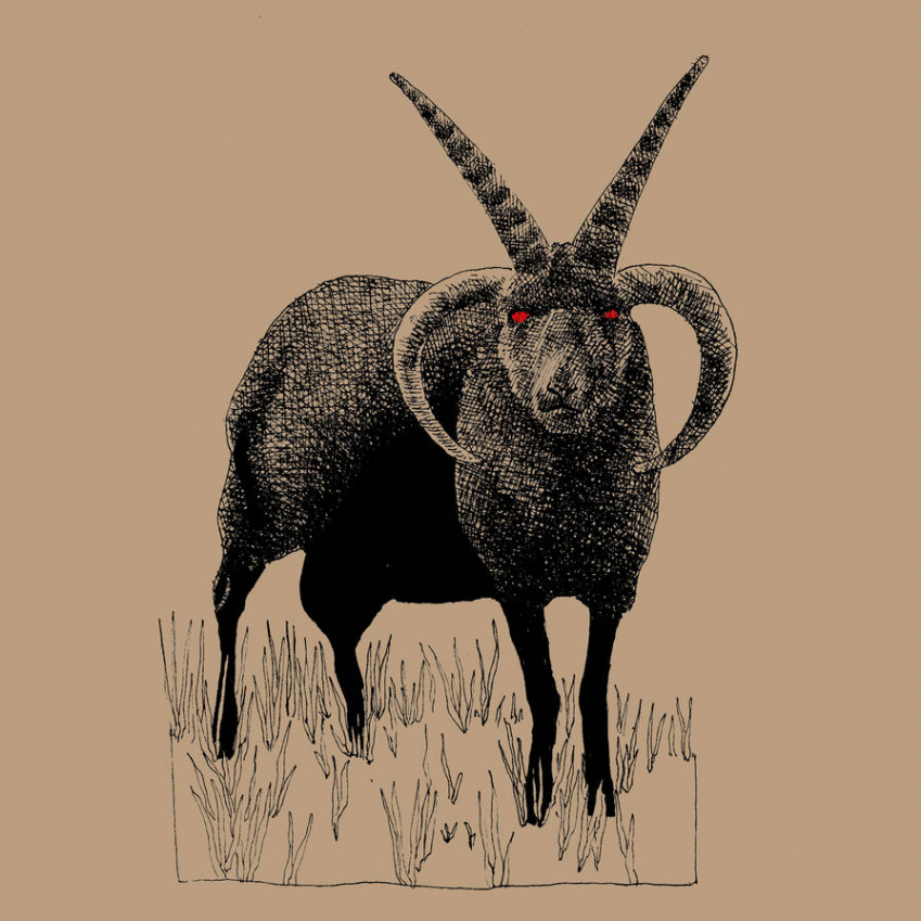 Four horned goat by joacus on DeviantArt