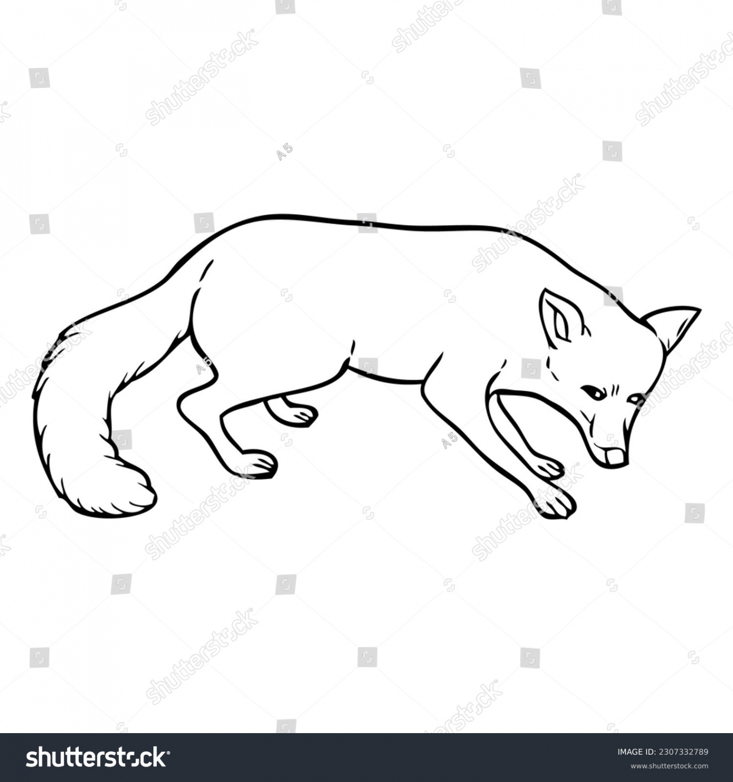 Fox Outline Vector Illustrationisolated On White Stock Vector