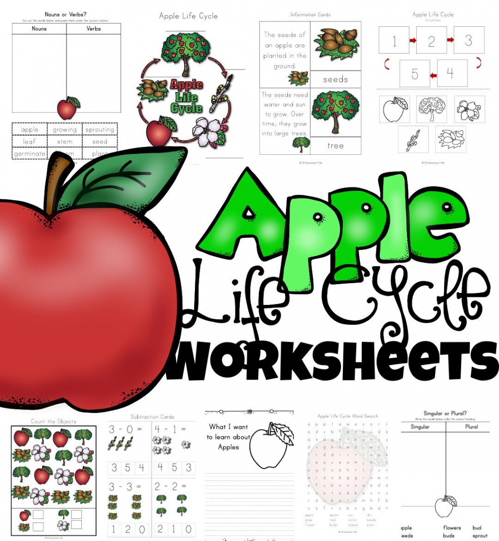 🍎 FREE Apple Life Cycle Printable Worksheets