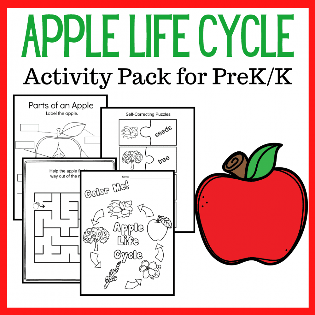 FREE Apple Life Cycle Printable Worksheets