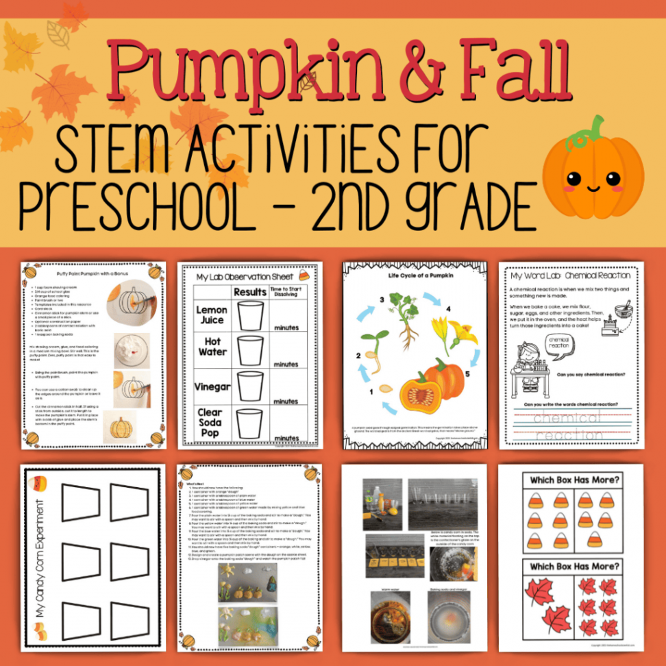 FREE Homeschool Science Printables - The Homeschool Scientist